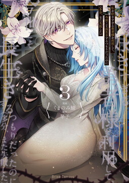 Watashi wo Suki Sugiru Yuusha-sama wo Riyou shite, Konse koso Nagaiki suru Tsumoridattanoni (Tabun, Mata Shippaishita)