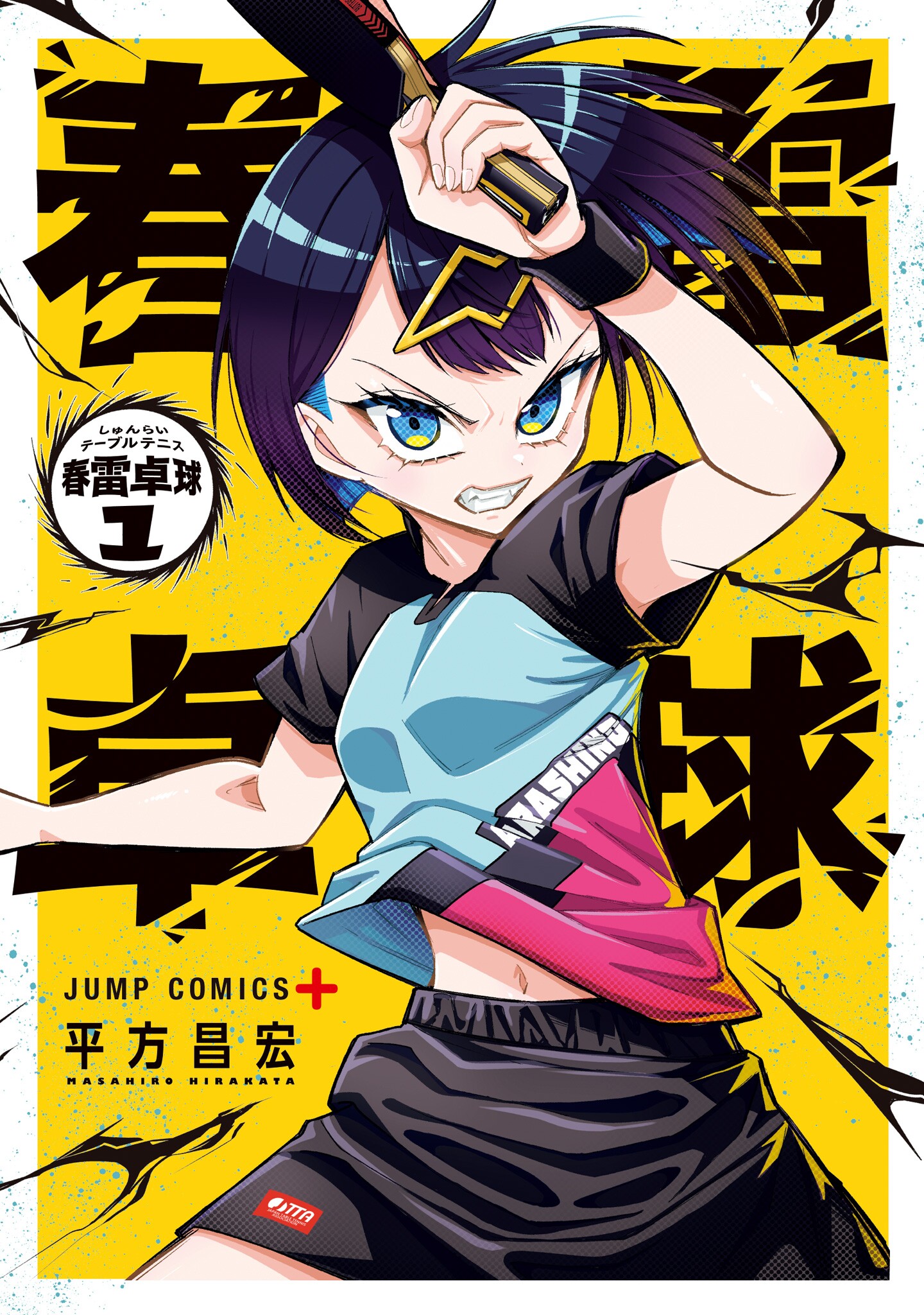 Shunrai Table Tennis