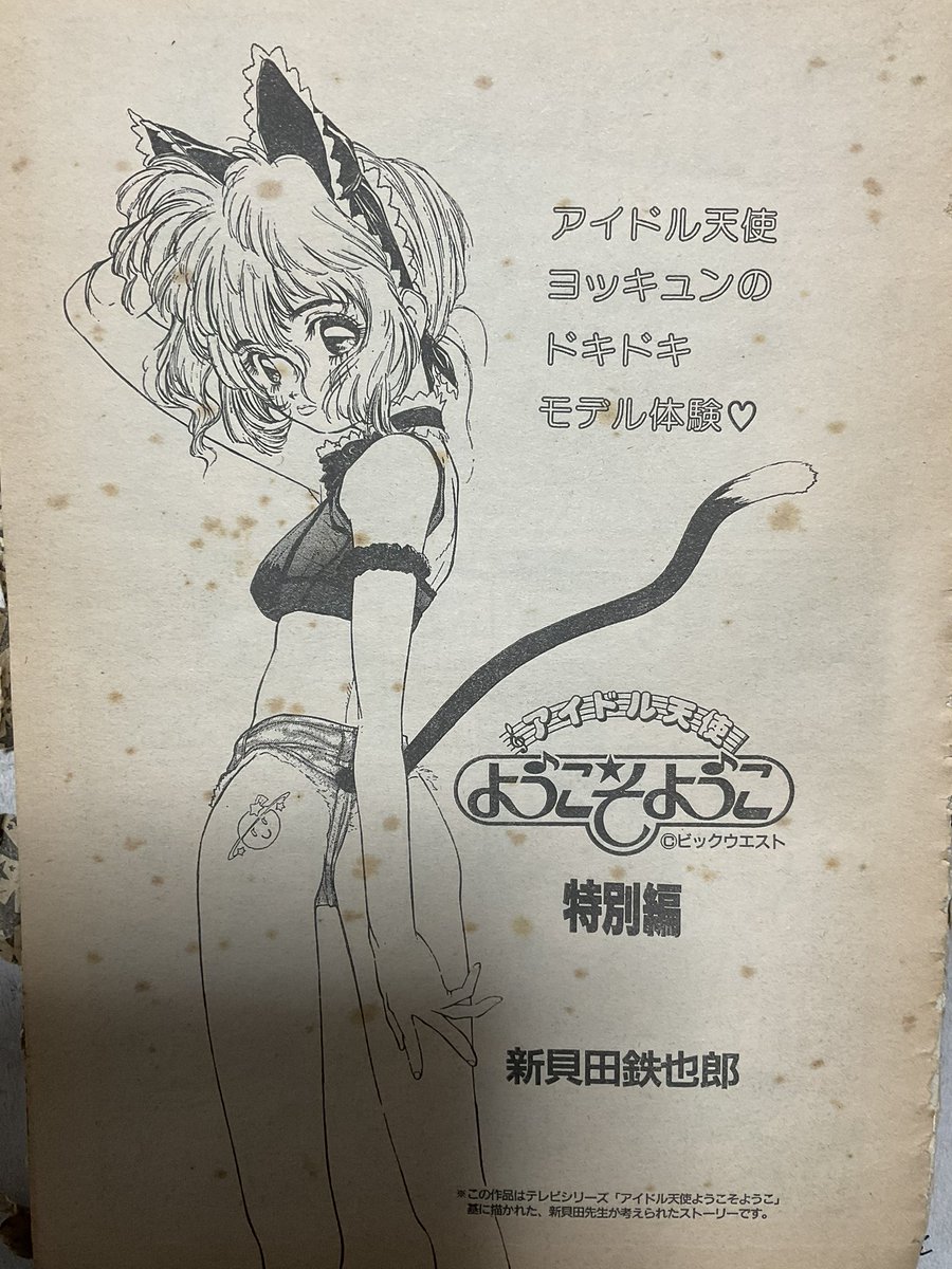 Welcome, Idol Angel Yoko