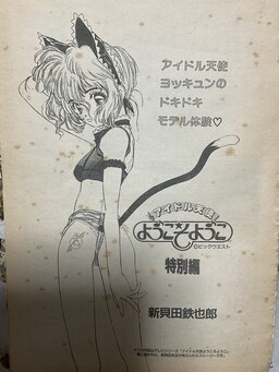 Welcome, Idol Angel Yoko