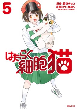Hataraku Saibou Neko