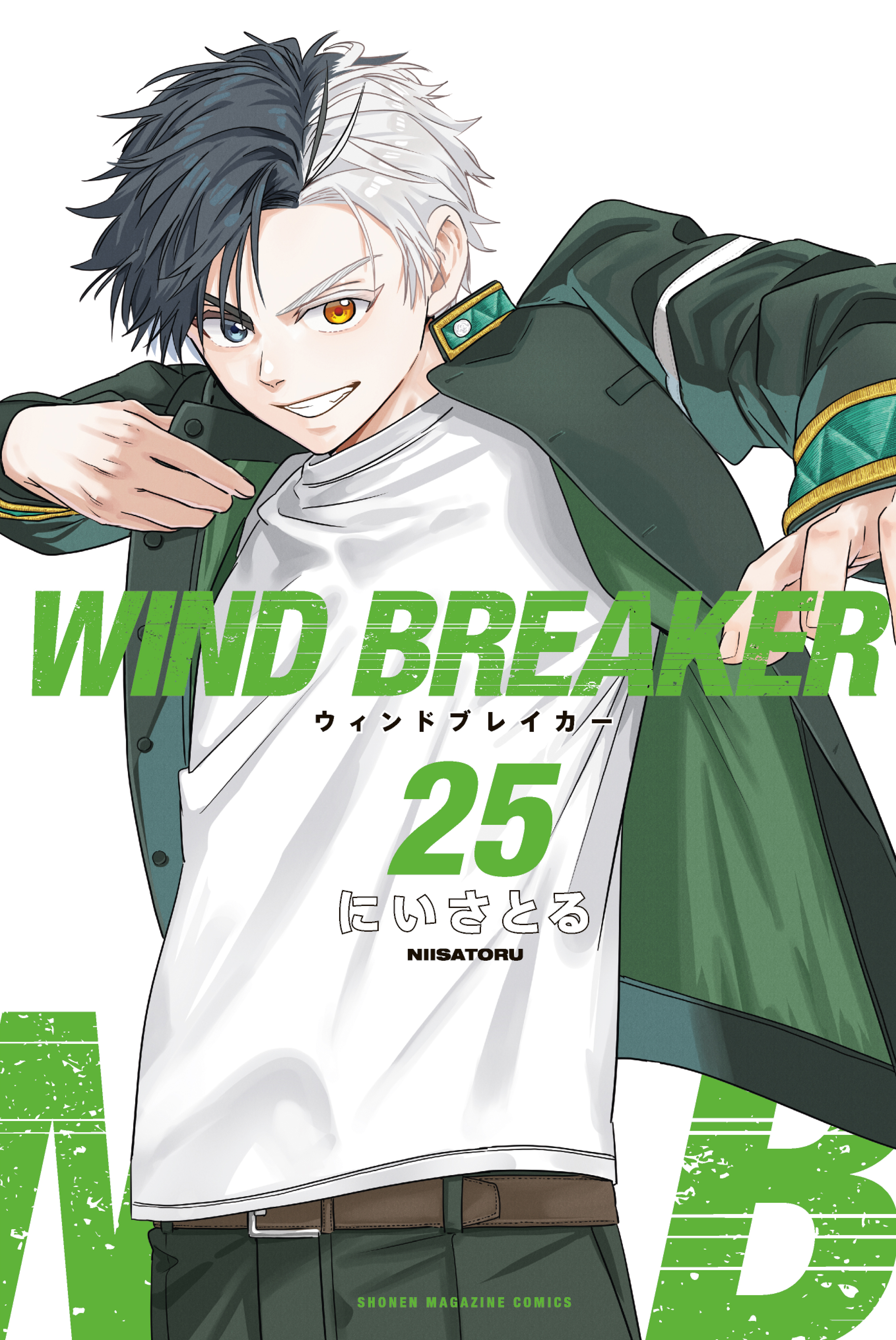 Wind Breaker