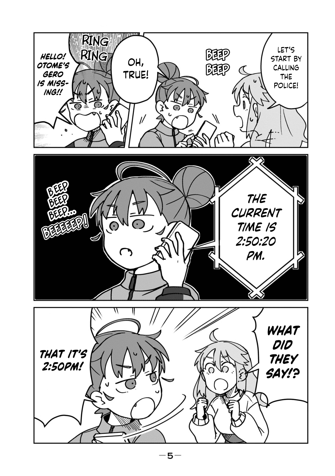 Page 5