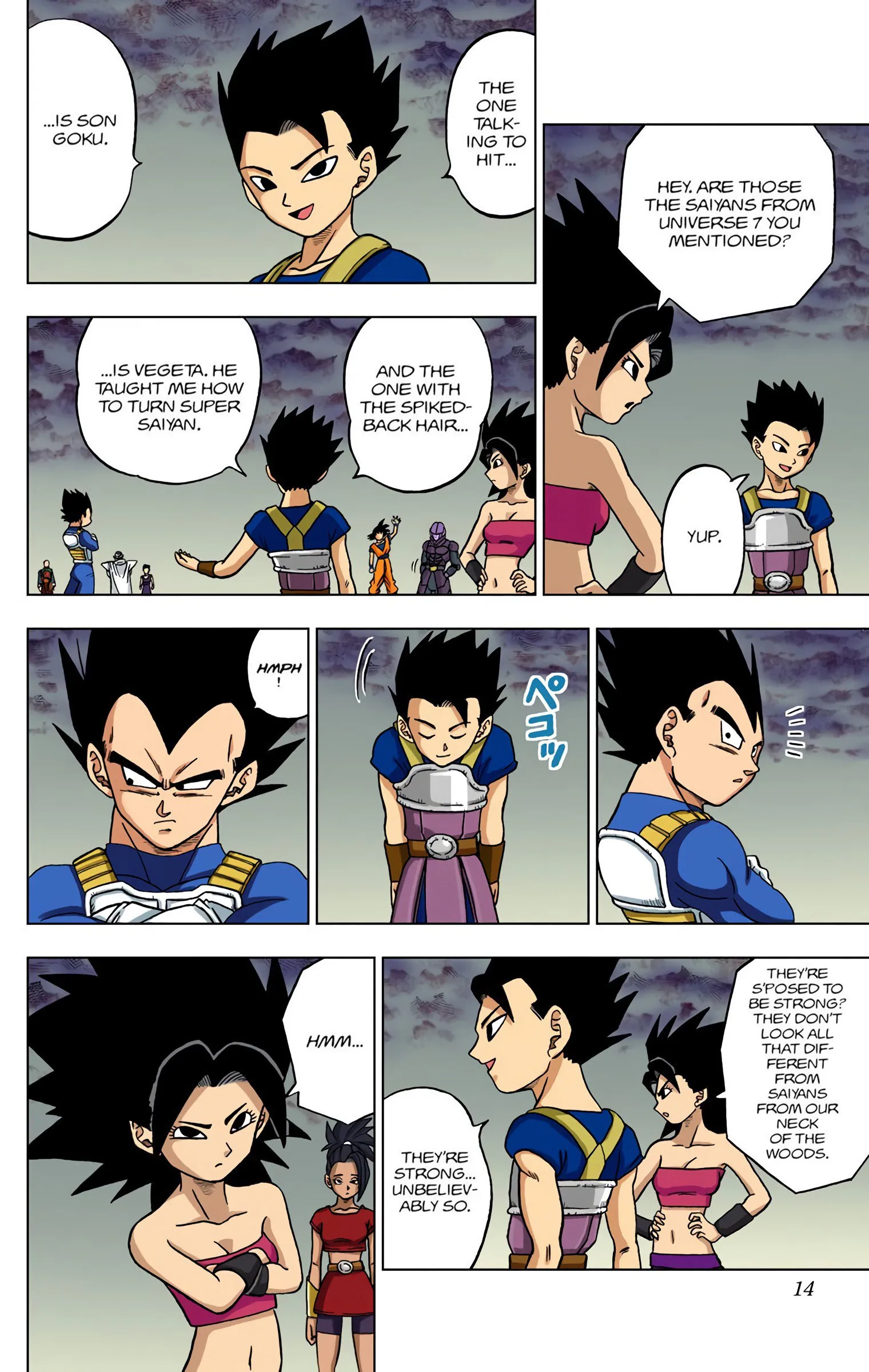 Page 13