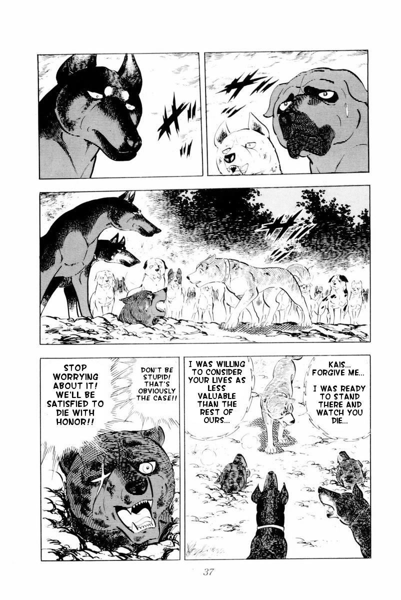 Page 37