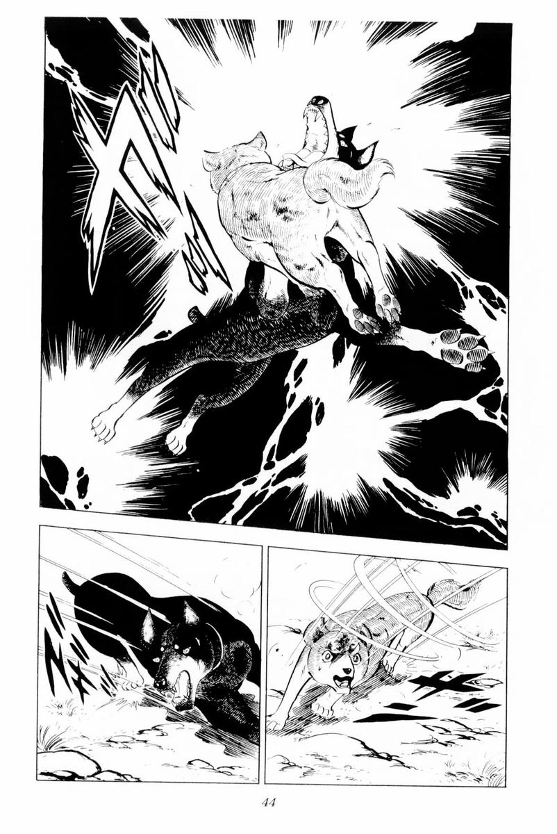 Page 44