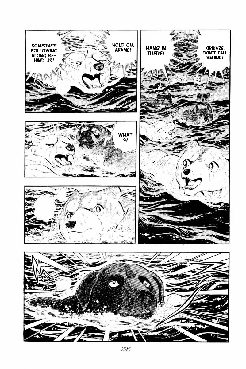 Page 49