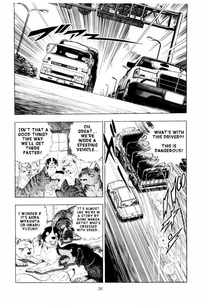 Page 36
