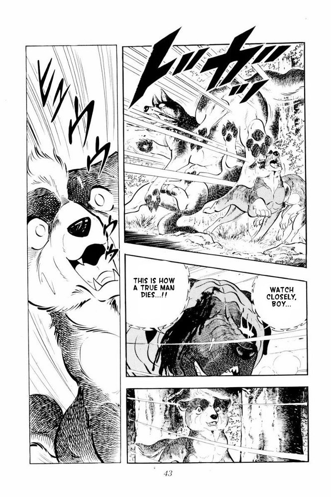 Page 43