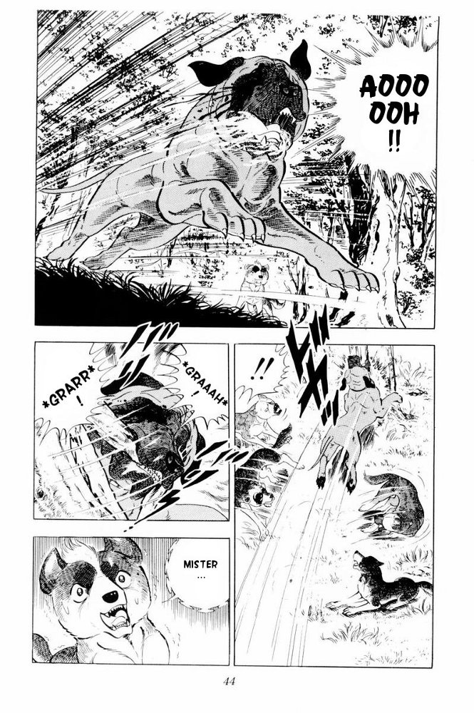 Page 44