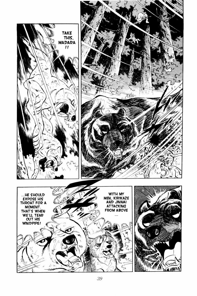 Page 41